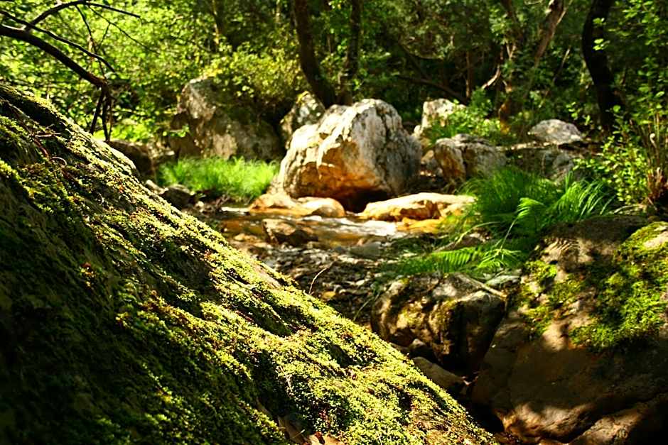 Hotel Rural Solar Das Freiras