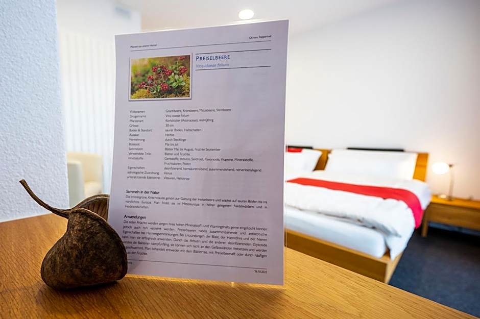 Hotel Ochsen Rapperswil/BE