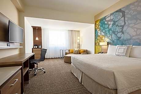 Large King Room with Sofa Bed