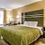 Quality Inn Stone Mountain