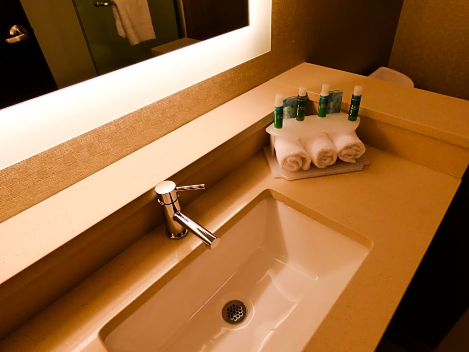 Holiday Inn Express & Suites Plymouth - Ann Arbor Area, an IHG Hotel