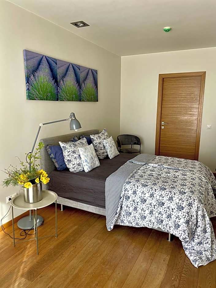 SURF HOUSE DREAMERS COAST