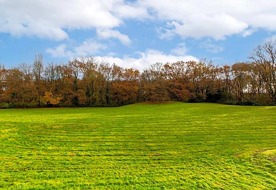 B&B HOTEL Orléans Nord Saran