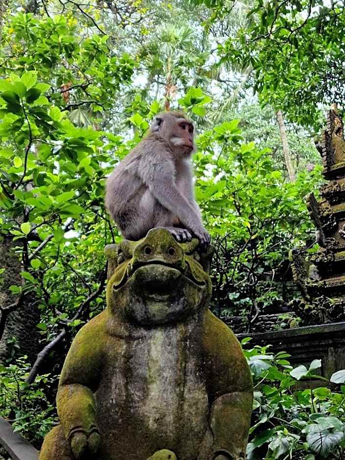 Keramas Moonlight Villa