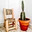 cactus surf house