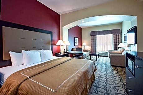 1 King Bed Deluxe Executive Room Non-Smoking