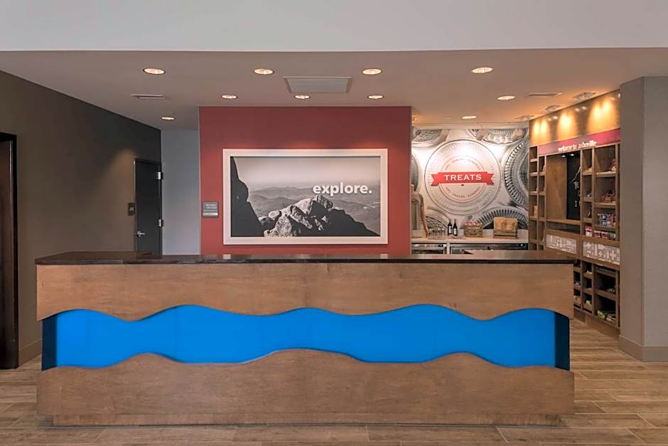 Hampton Inn By Hilton & Suites-Asheville Biltmore Village, NC