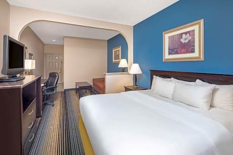1 King Bed, Studio Suite, Non-Smoking