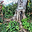 Forest garden residence