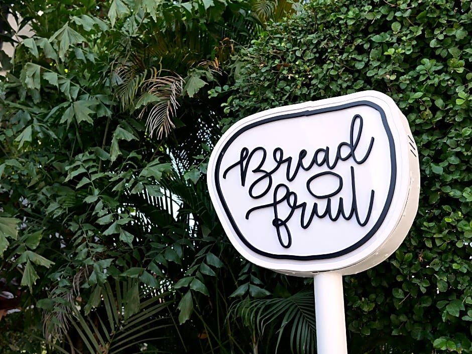 Breadfruit – Chiang Mai, IA