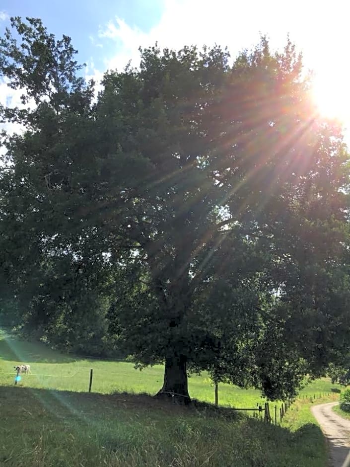 Gîte:"sur le chemin"