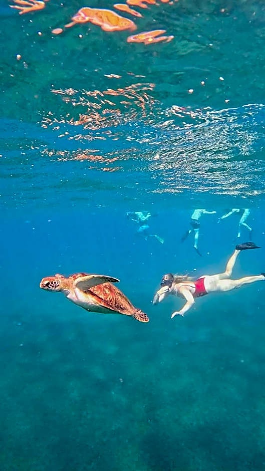 Jemeluk Beach Bungalows