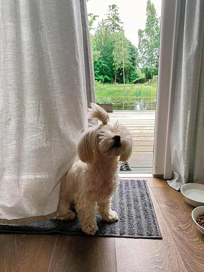 Koziula - Domki i Leśne SPA na Kaszubach