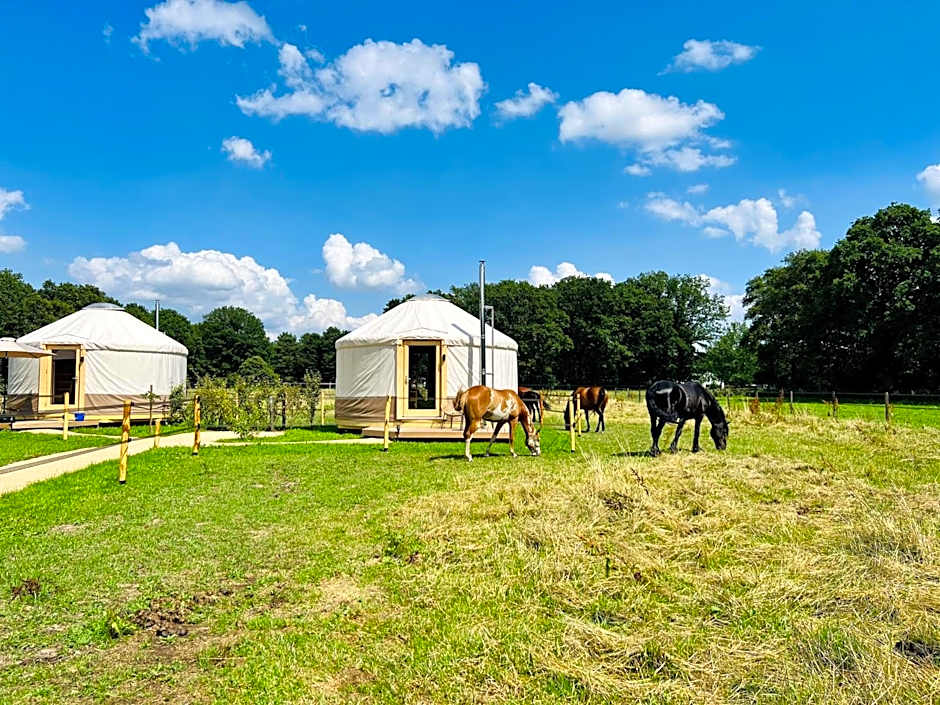 Magnolia Hoeve - Unieke Bestemming voor Paardenliefhebbers en Bijzondere Overnachtingen in de natuur