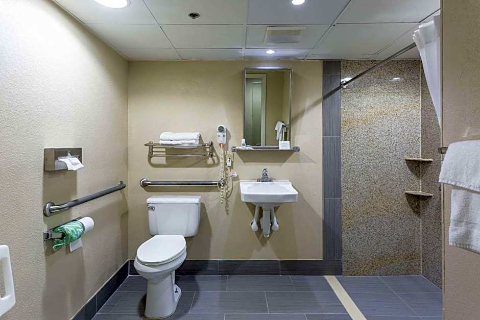 Comfort Inn Decatur Priceville