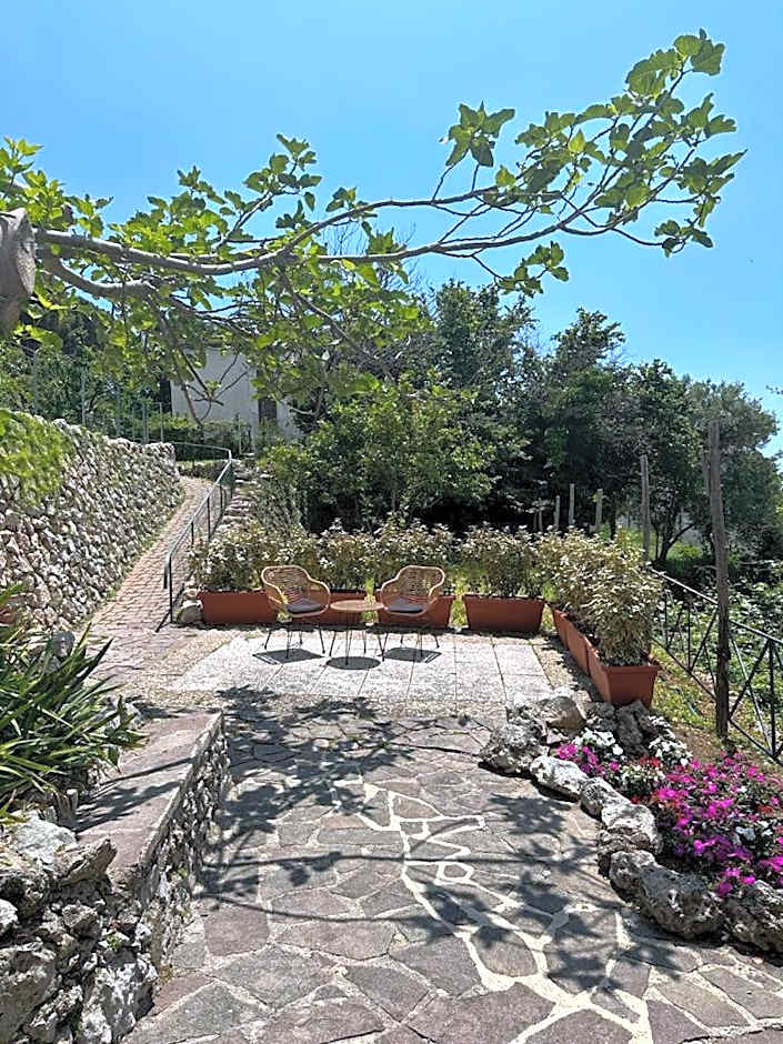 Maera B&B Ravello