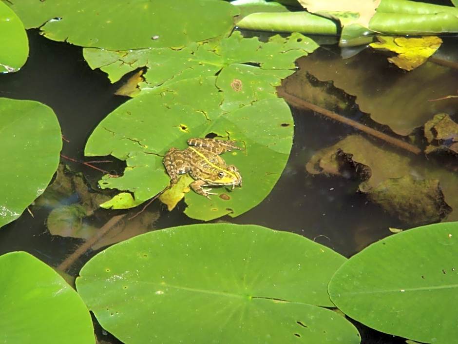 Bed & Breakfast La Val