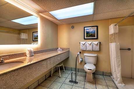 King Room - Disability Access