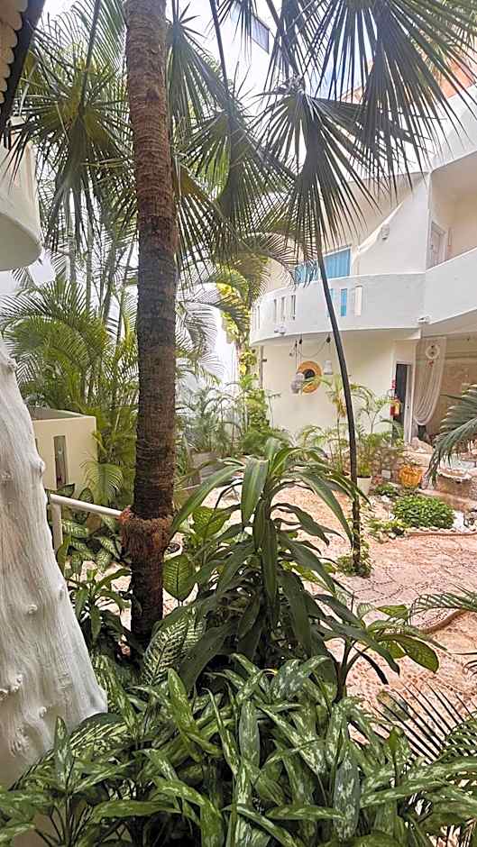 Coco Rio Hotel - Mamitas Beach Area