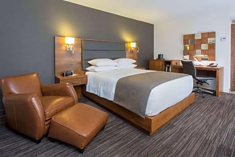 1 Queen Bed Premium Executive Room Non-Smoking