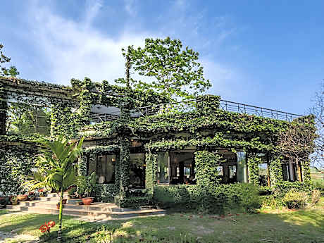 The Riverwood Forest Retreat- Dooars