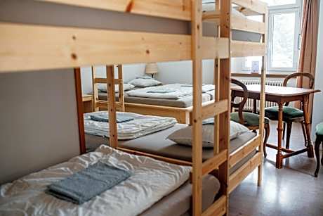 Bed in 6-Bed Dormitory Room