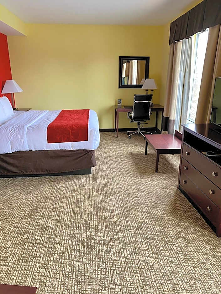 Comfort Suites Rock Hill Manchester Meadows Area