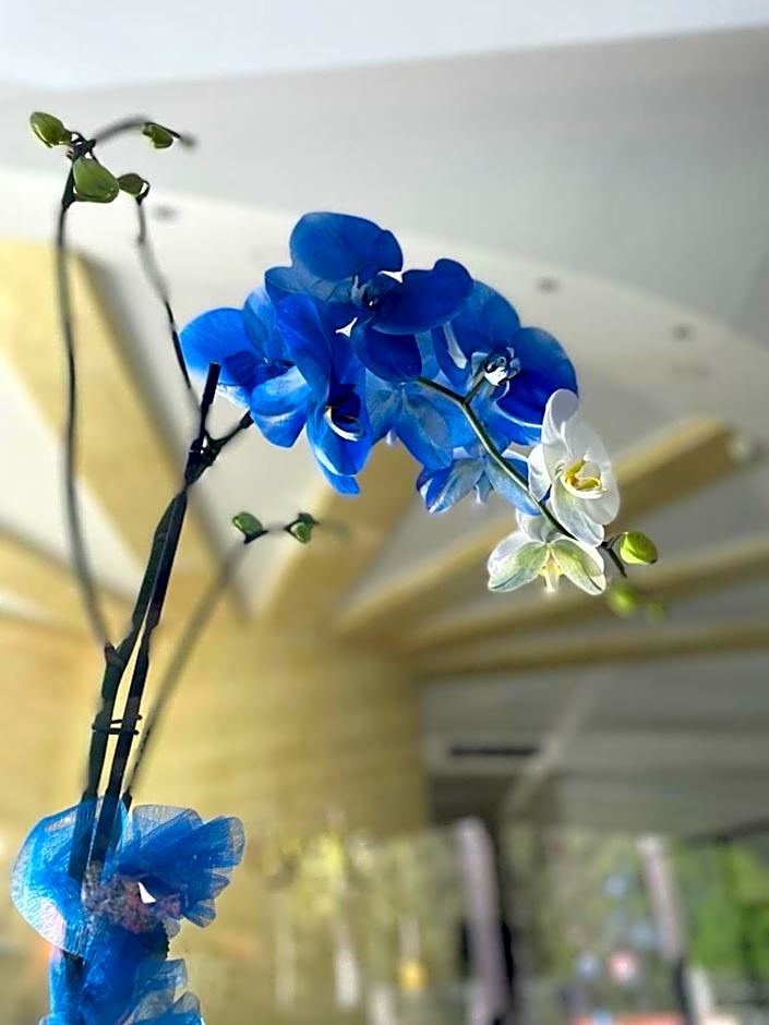 Oasi Park Hotel