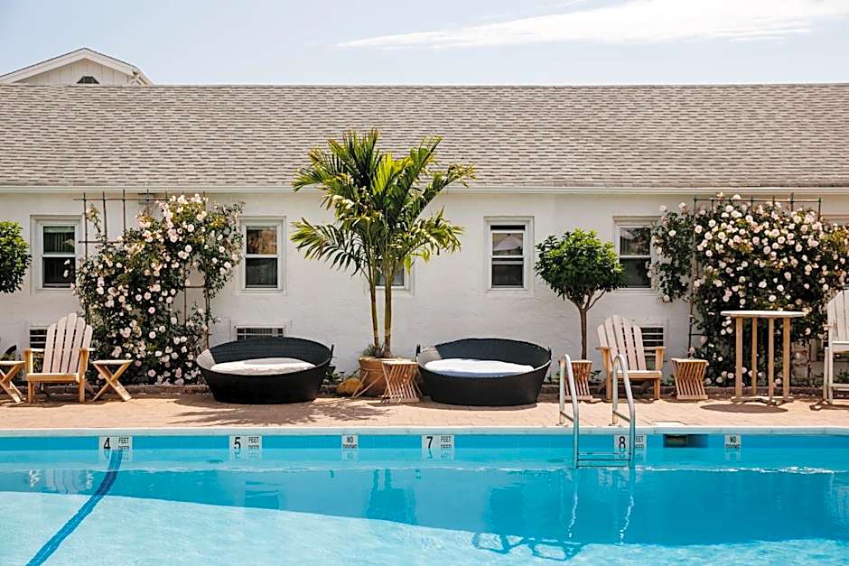 Daunts Albatross Motel