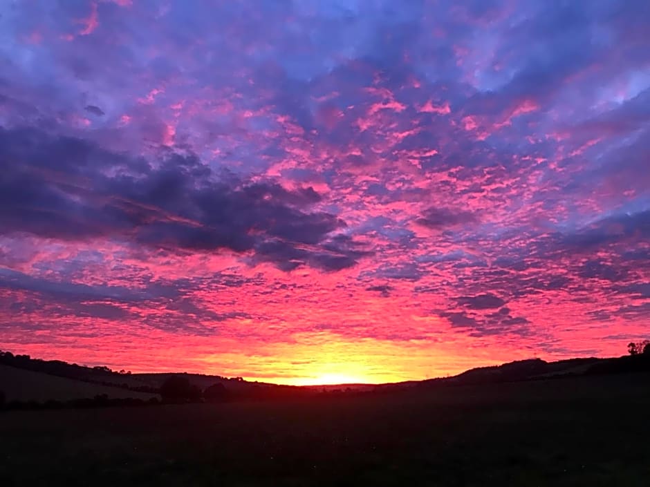 Charlton End - Goodwood Events