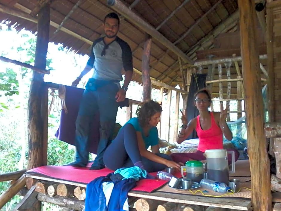 ORANGUTANTREKSUMATRA & LOVELY JUNGLE LODGE only book IF you are treking with us