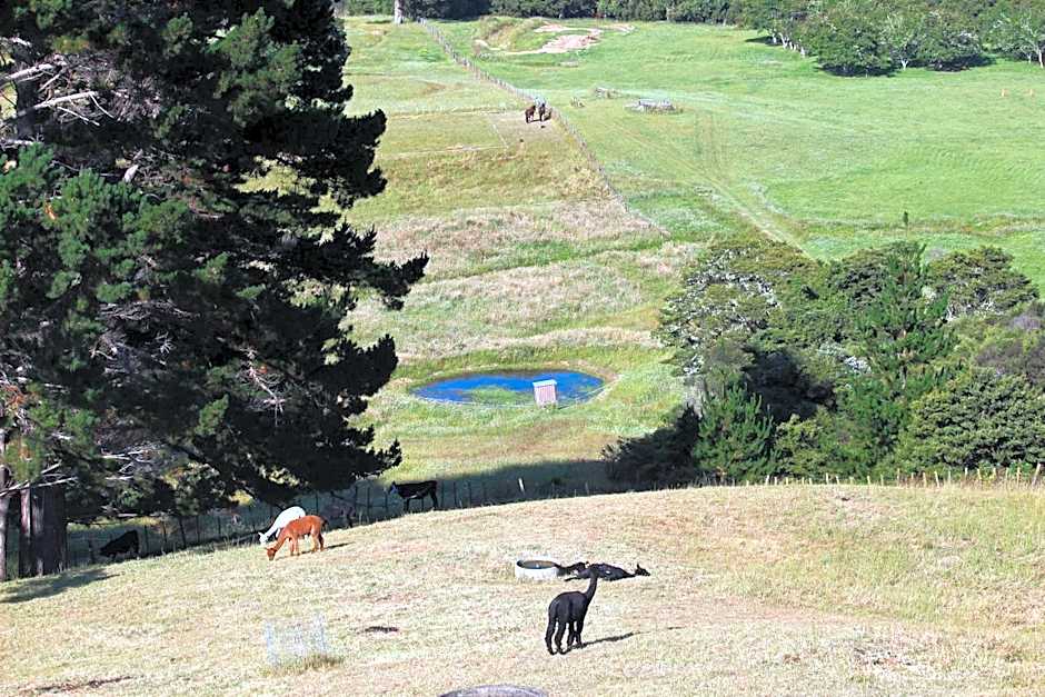 Pukeatua Farmstay