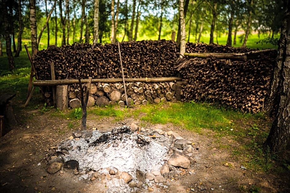 Brzozowy Gaj – Klecino, VA