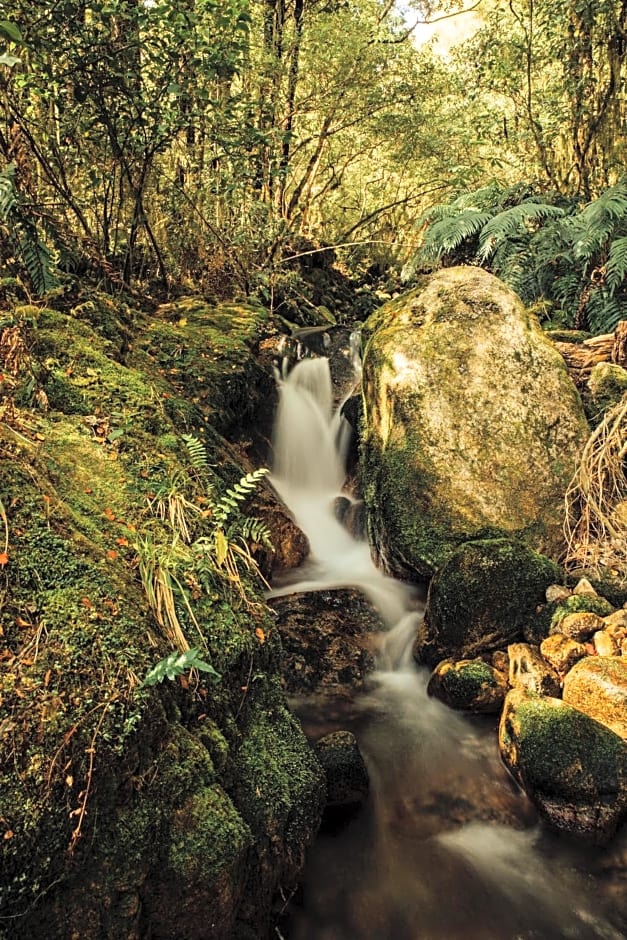 Maruia River Retreat