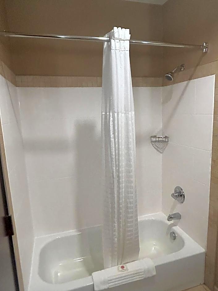 Comfort Suites Palestine