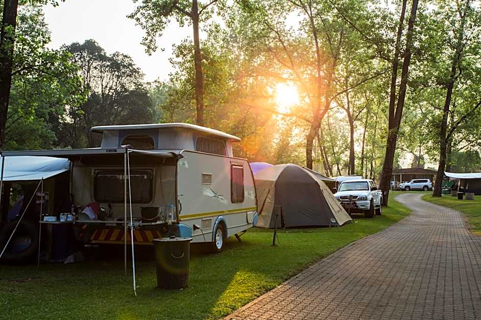 Photo 1 of 4 of Basic Tent