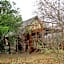 Woodpecker Lodge B&B
