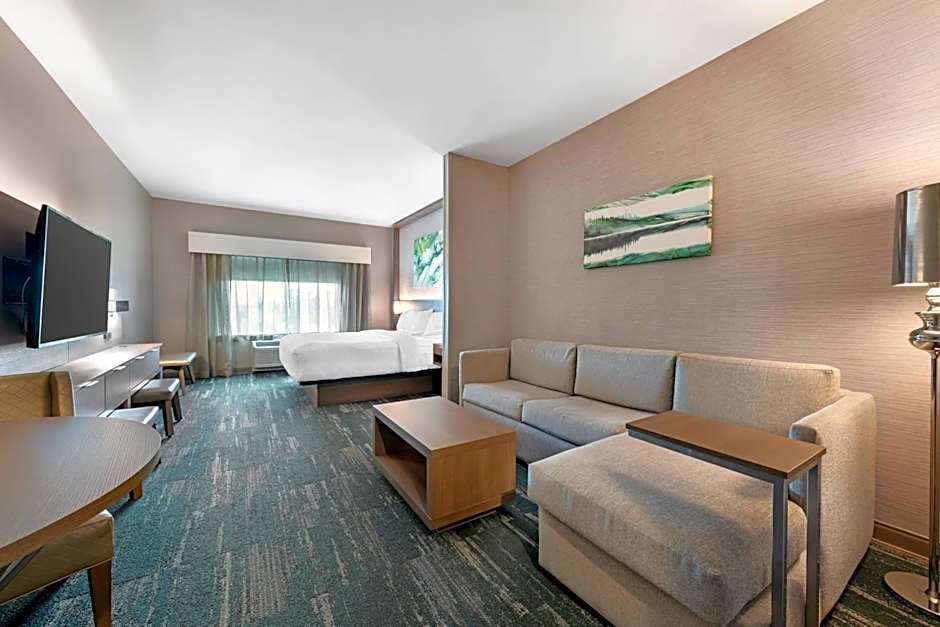 Best Western Plus Grand Rapids MN