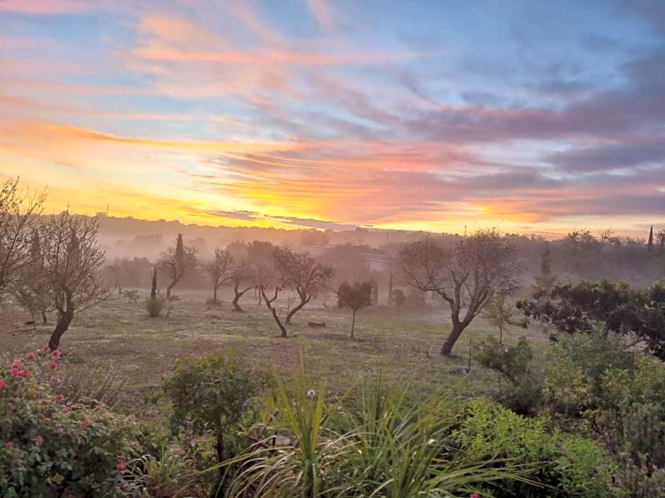 Eco Cabin - Villa das Alfarrobas