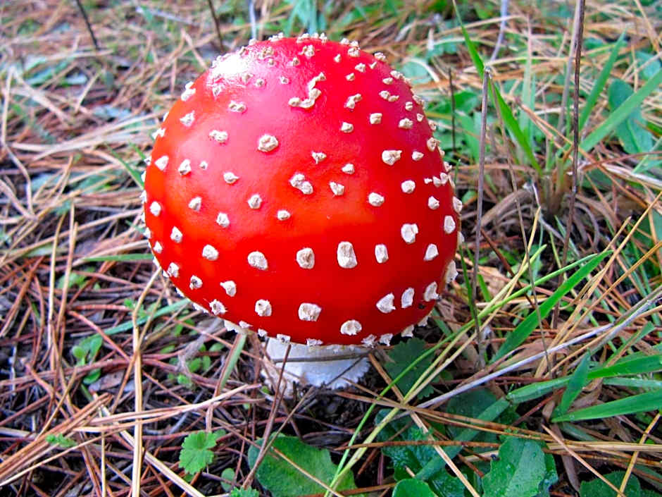 Llarrinda Bed & Breakfast