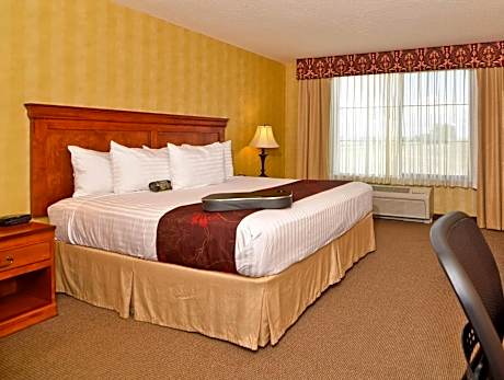 Suite - 1 King Bed, Sofabed, Nonsmoking