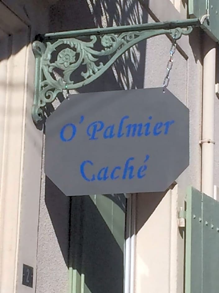 O'palmier Caché