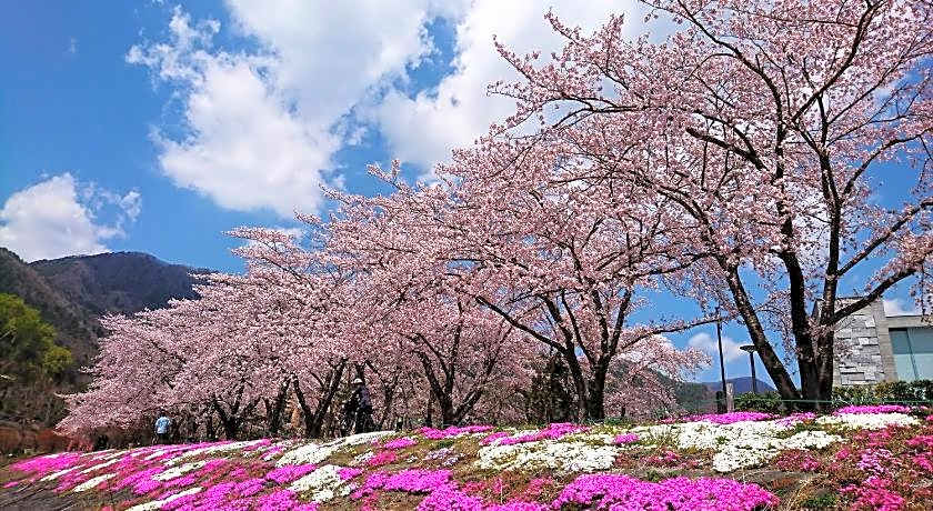 Lake Villa Kawaguchiko