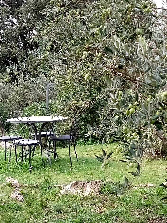Le Petit Paradis – Lorgues, ID