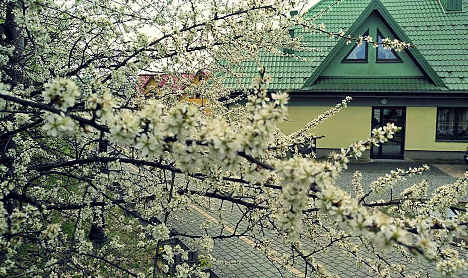 Centrum Wypoczynku i Rehabilitacji Umina