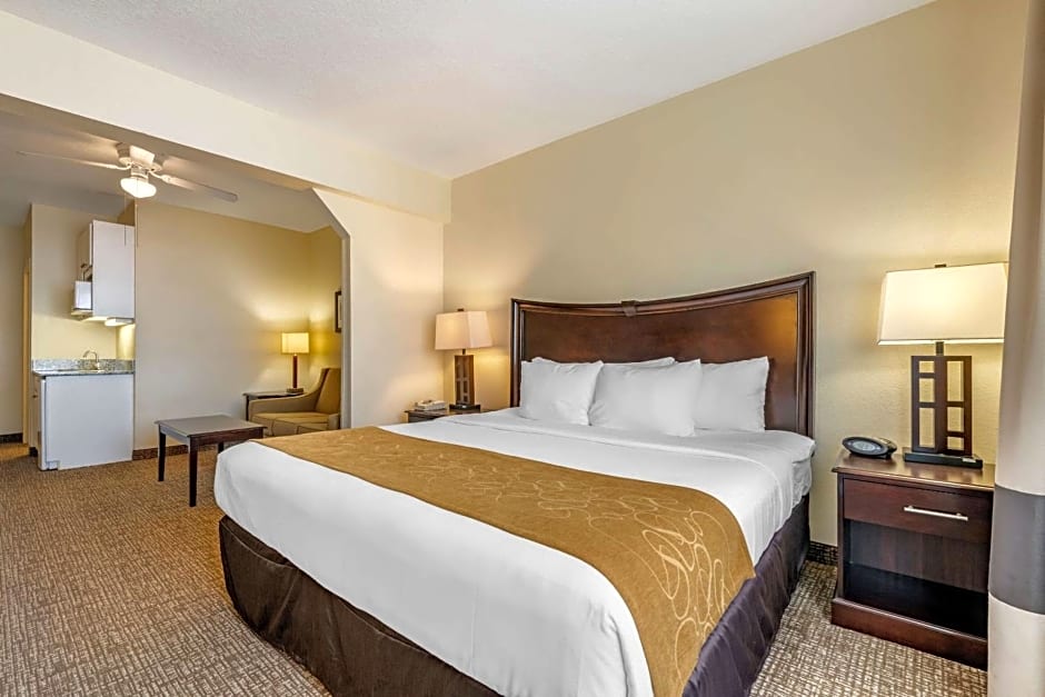 Comfort Suites Maingate East