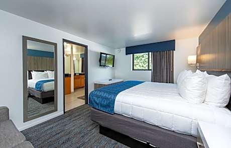 Three-Bedroom Suite