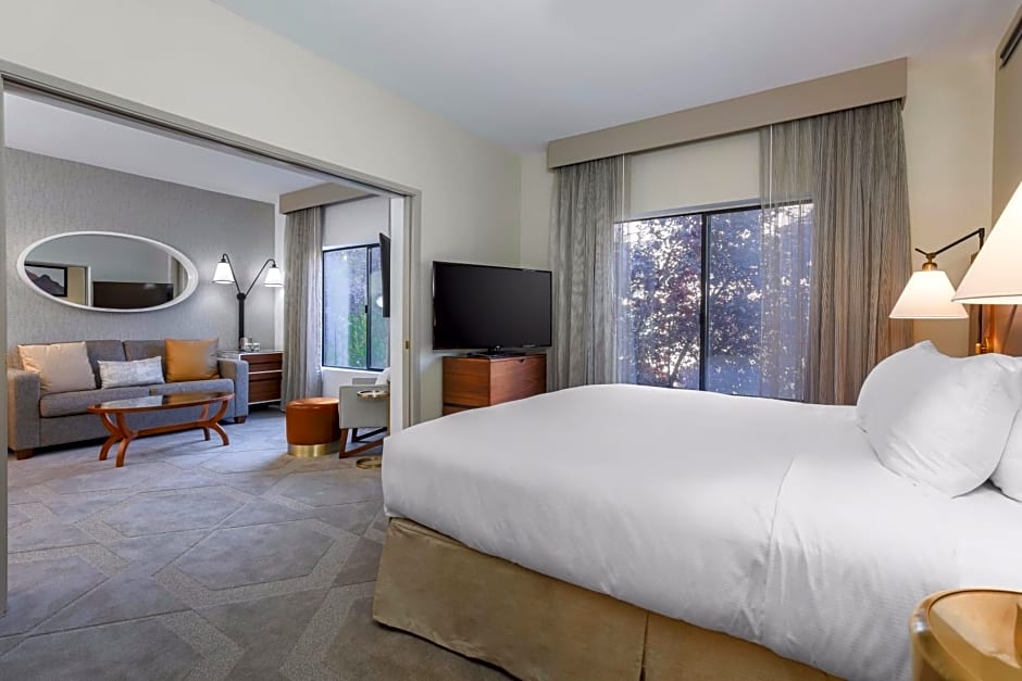 Photo 1 of 7 of Deluxe One-Bedroom King Suite