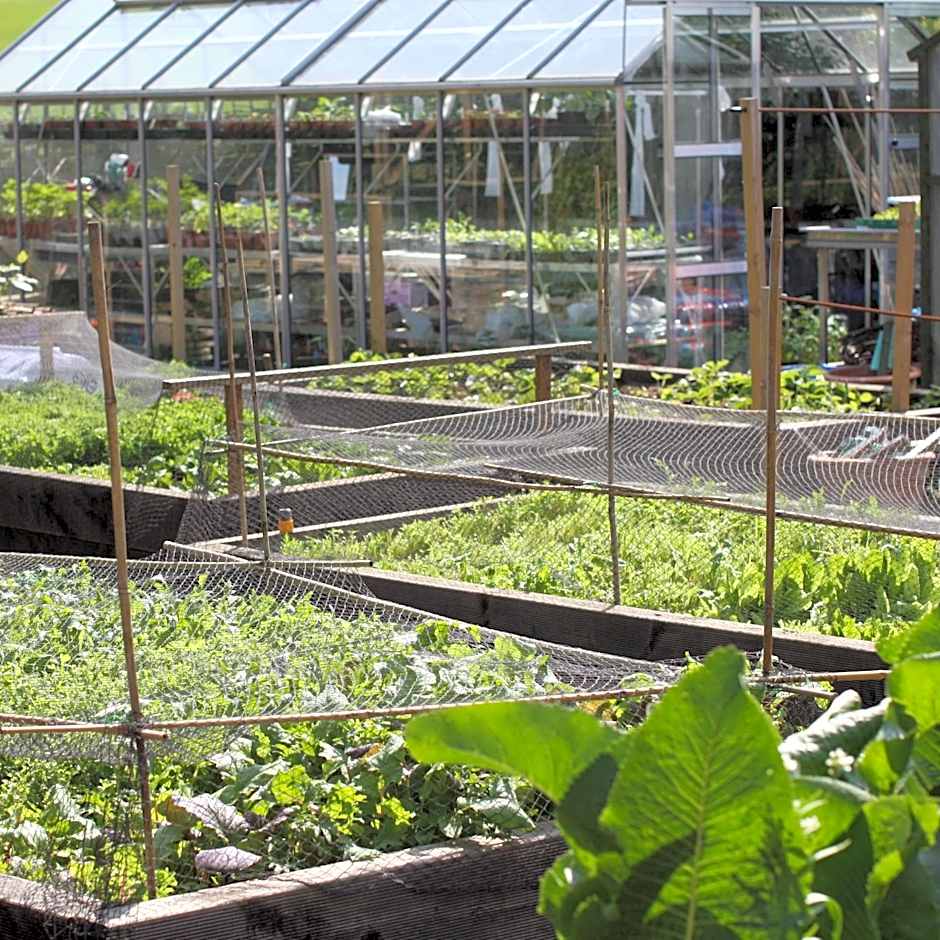 Sibton White Horse Inn