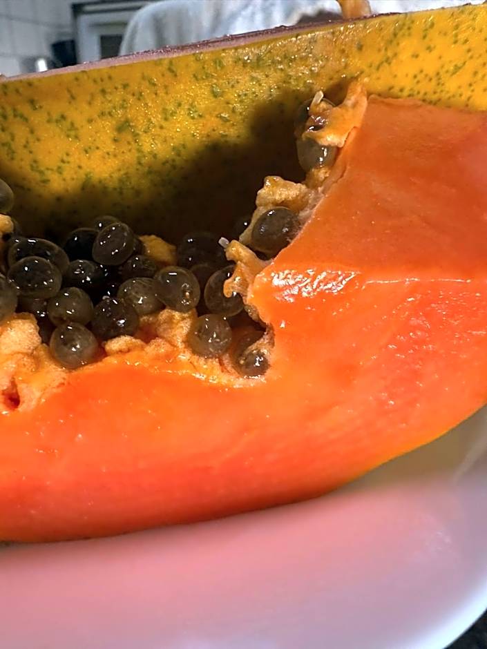 Pousada Império do Sol